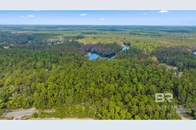 33577 Browns Landing Rd Extension, Seminole, AL 36574 - Photo 6
