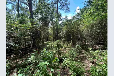 10790 Cattle Branch Court, Mobile, AL 36608 - Photo 4