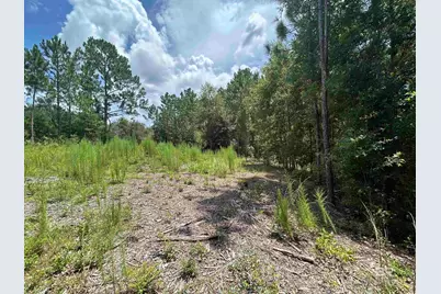 10790 Cattle Branch Court, Mobile, AL 36608 - Photo 8