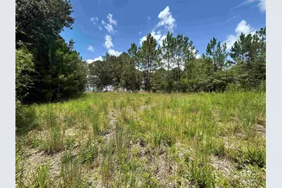 10790 Cattle Branch Court, Mobile, AL 36608 - Photo 6