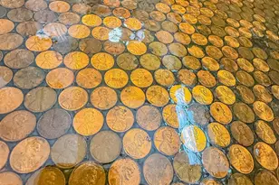 2651 S Juniper St, Foley, AL 36535 - Photo 10