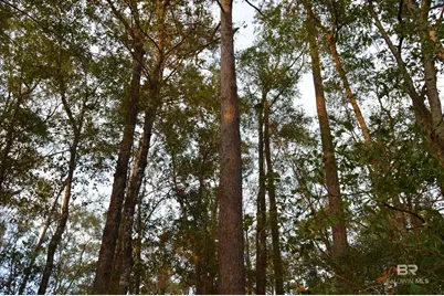 8 Marlin Street, Stockton, AL 36579 - Photo 12