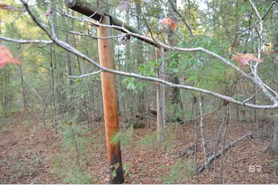 8 Marlin Street, Stockton, AL 36579 - Photo 20