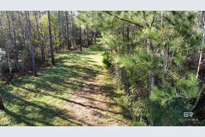 0 River Road, Fairhope, AL 36532 - Photo 6