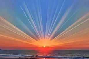 1007 W Beach Blvd, Gulf Shores, AL 36542 - Photo 30