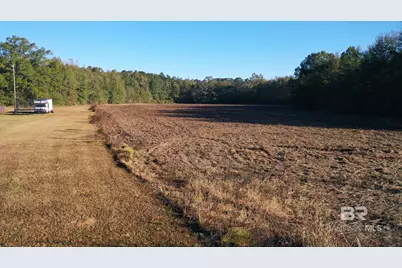 Lot 1 Freemanville Drive, Atmore, AL 36502 - Photo 10