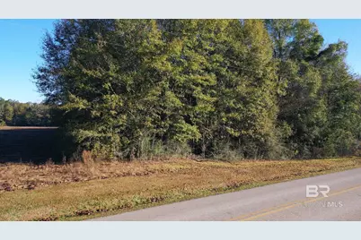 Lot 1 Freemanville Drive, Atmore, AL 36502 - Photo 6