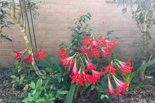 14040 Riverside Dr, Foley, AL 36535 - Photo 26