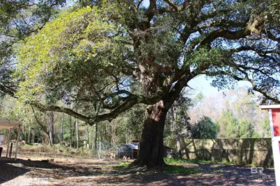 24561 Peavy Lane, Robertsdale, AL 36567 - Photo 32