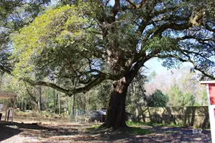 24561 Peavy Ln, Robertsdale, AL 36567 - Photo 32