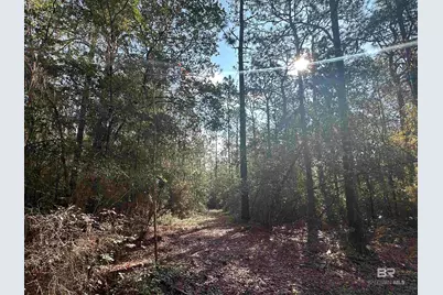 0 Patterson Road, Robertsdale, AL 36567 - Photo 8