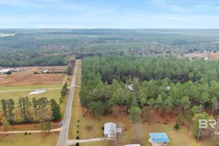 34451 Lee Rd, Robertsdale, AL 36567 - Photo 94
