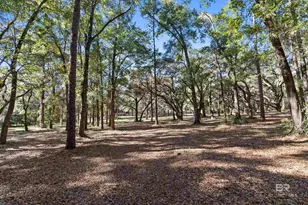 12800 Oak Tree Dr, Foley, AL 36535 - Photo 72