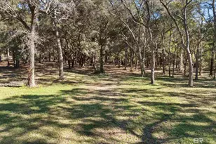 12800 Oak Tree Dr, Foley, AL 36535 - Photo 66