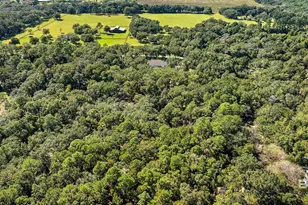 12800 Oak Tree Dr, Foley, AL 36535 - Photo 20