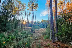 7418 Bromley Rd, Bay Minette, AL 36507 - Photo 1