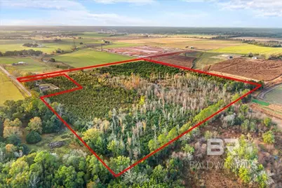 0 S County Road 48, Robertsdale, AL 36567 - Photo 2