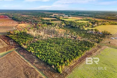 0 S County Road 48, Robertsdale, AL 36567 - Photo 12