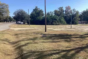 0 D'Olive St, Bay Minette, AL 36507 - Photo 6