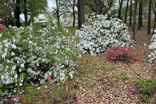 15767A Co Rd 32, Summerdale, AL 36580 - Photo 58