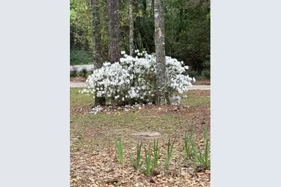 15767-A County Road 32, Summerdale, AL 36580 - Photo 62