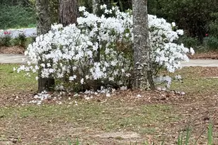 15767A Co Rd 32, Summerdale, AL 36580 - Photo 62