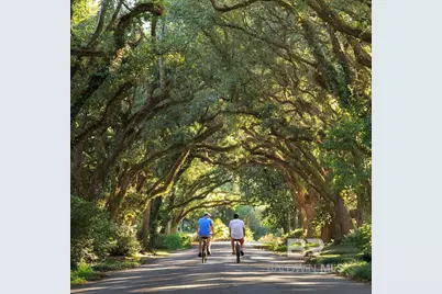 309 Morning Mist Way, Fairhope, AL 36532 - Photo 38