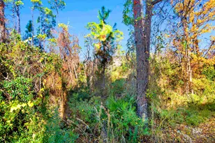 7955 Double Gate Dr, Pensacola, AL 32507 - Photo 40