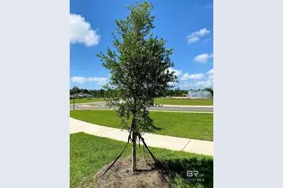 22123 Early Dawn Circle, Foley, AL 36535 - Photo 60