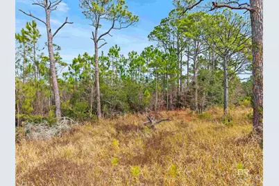 796 Cabana Beach Road, Gulf Shores, AL 36542 - Photo 18