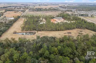 Xxx Airport Rd, Foley, AL 36535 - Photo 6