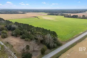 15372 S County Road 28, Foley, AL 36535 - Photo 2
