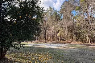 53400 Hixson Rd, Stockton, AL 36579 - Photo 30