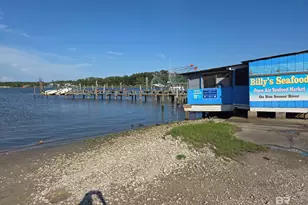 16780 River Rd, Bon Secour, AL 36511 - Photo 4