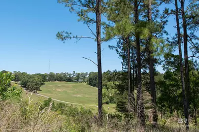 105 Palisade Circle, Daphne, AL 36526 - Photo 44