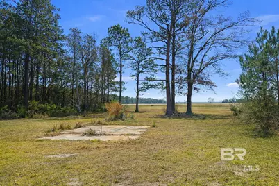 818 Twin Bridges Road, Flomaton, AL 36441 - Photo 26