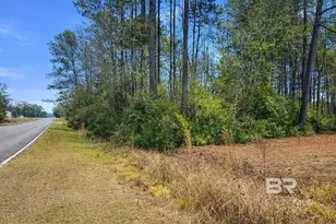 818 Twin Bridges Rd, Flomaton, AL 36441 - Photo 30