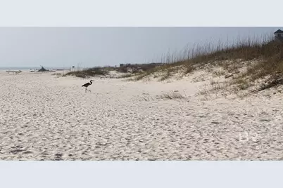 453 Dune Drive #110, Gulf Shores, AL 36542 - Photo 36