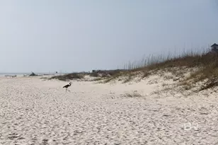 453 Dune Dr, Gulf Shores, AL 36542 - Photo 36