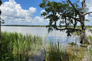 11438 Thistledown Loop, Spanish Fort, AL 36527 - Photo 52