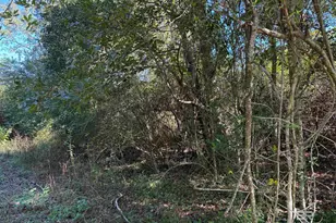 0 Pleasant Hill Rd, Century, FL 32535 - Photo 6