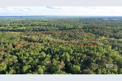 0 Pleasant Hill Road, Century, FL 32535 - Photo 12