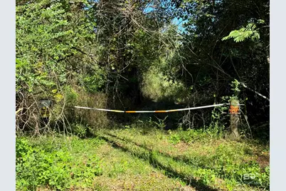 0 Pleasant Hill Road, Century, FL 32535 - Photo 4