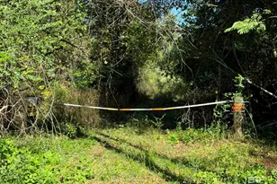 0 Pleasant Hill Rd, Century, FL 32535 - Photo 4