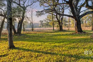 13287 Martin Ln, Fairhope, AL 36532 - Photo 1