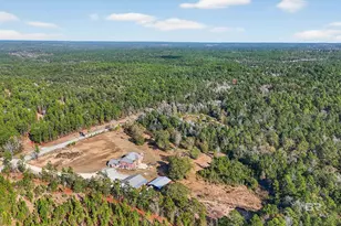 12751 Beverly Jeffries Hwy, Citronelle, AL 36522 - Photo 84