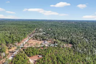 12751 Beverly Jeffries Hwy, Citronelle, AL 36522 - Photo 72