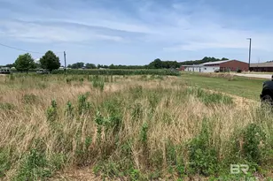0 County Road 54, Daphne, AL 36526 - Photo 1
