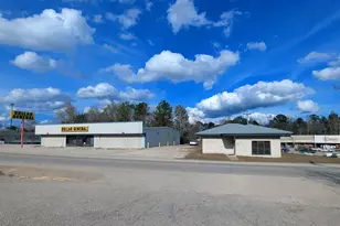 13505 St Stephens Ave, Chatom, AL 36518 - Photo 50