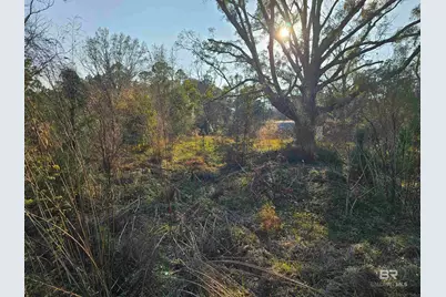 29640 US Highway 98, Elberta, AL 36530 - Photo 30